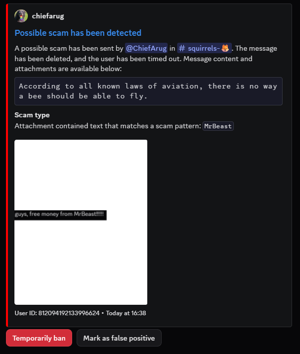Image scam detection